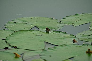 复古赛车竞速对战游戏《先驱者：霓虹之夜》现已正式推出