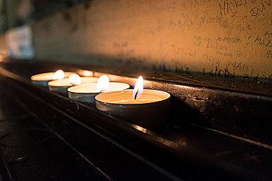 《数码宝贝世界：新秩序》Steam页面上线 明年2月22日发售